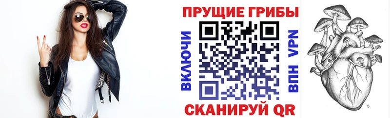 Галлюциногенные грибы Cubensis  Нязепетровск 