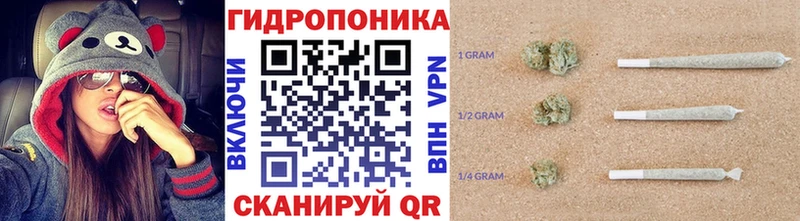 где найти наркотики  Нязепетровск  Конопля White Widow 